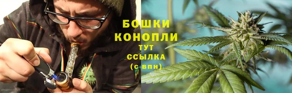 крисы Армянск