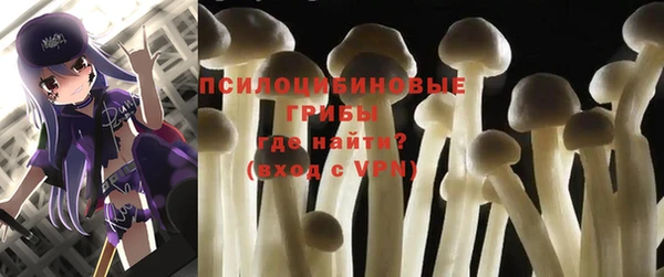 твердый Аркадак