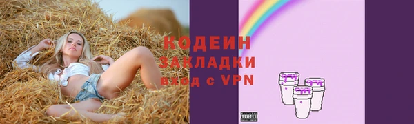 герыч Арсеньев