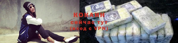 твердый Аркадак