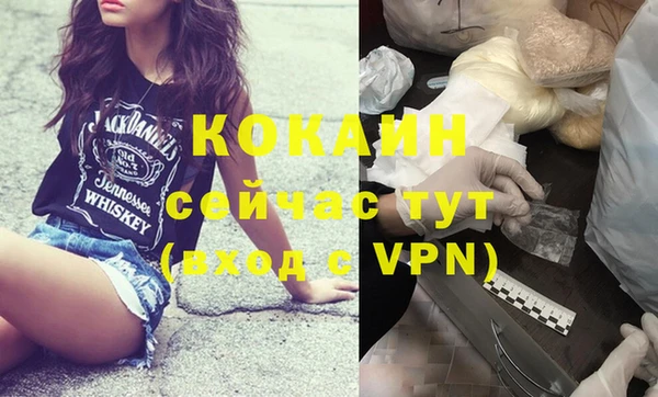 твердый Аркадак