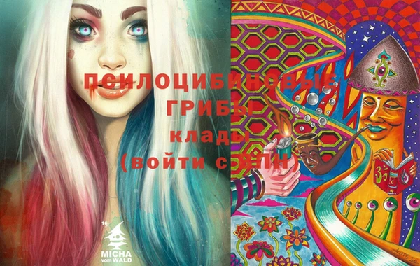 крисы Армянск
