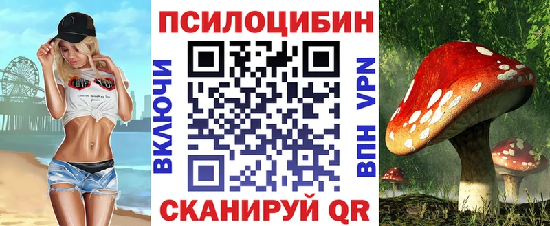 наркошоп  Шацк  Галлюциногенные грибы Magic Shrooms 
